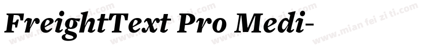 FreightText Pro Medi字体转换